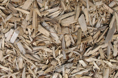 biomass boilers Llandwrog